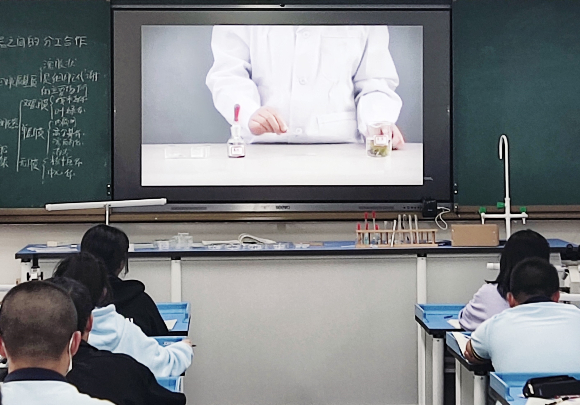 实践出真知，动手长才干—— 谢巧秀老师举行生物公开课