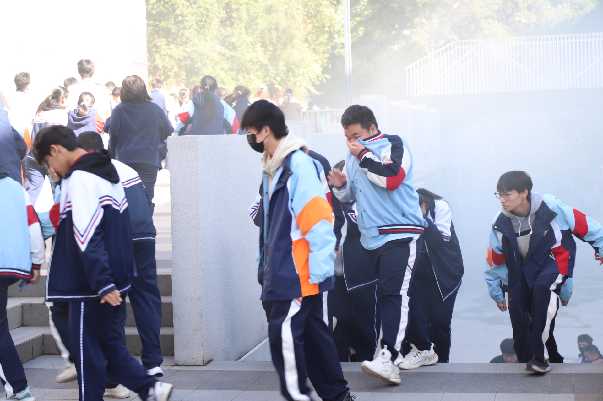 IMG_8387.JPG IMG_8387.JPG